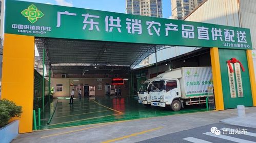 奮戰百千萬工程 廣東供銷農產品直供配送臺山服務中心揭牌成立